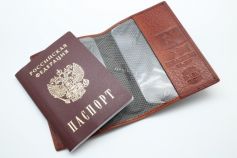 Обложка для паспорта Dierhoff 1010-005/11.