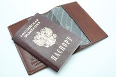 Обложка для паспорта Dierhoff 2506-005/11
