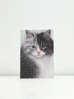 Купить итальянскую разноцветную женскую обложку для паспорта из натуральной кожи с доставкой по Москве и всей России в интернет-магазине модных женских сумок и аксессуаров