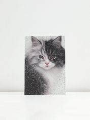 Обложка для паспорта Alessandro Beato 19-P475.