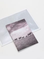 Обложка для паспорта Alessandro Beato 19-P369.