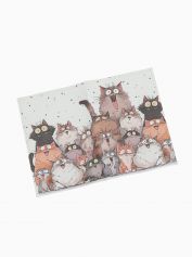 Обложка для паспорта Alessandro Beato 19-P472.